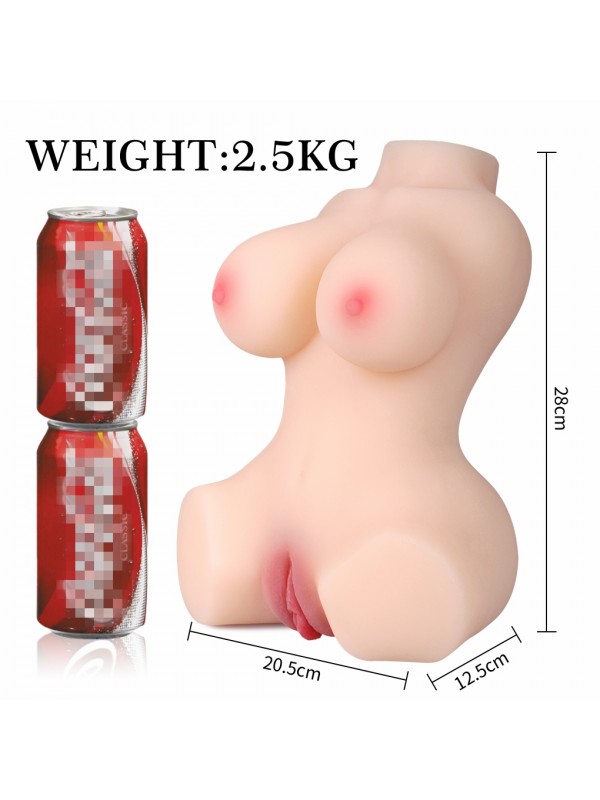 2 GİRİŞLİ TORSO 2500 GR… 2 GİRİŞLİ TORSO 2500 GR…