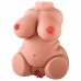 2 GİRİŞLİ 2500 GR TORSO 2 GİRİŞLİ 2500 GR TORSO