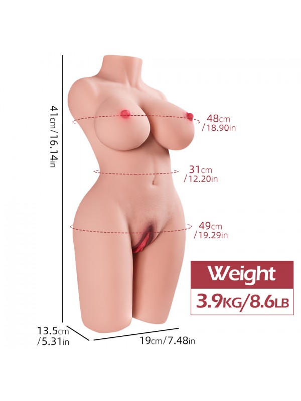3900 GR TORSO… 3900 GR TORSO…