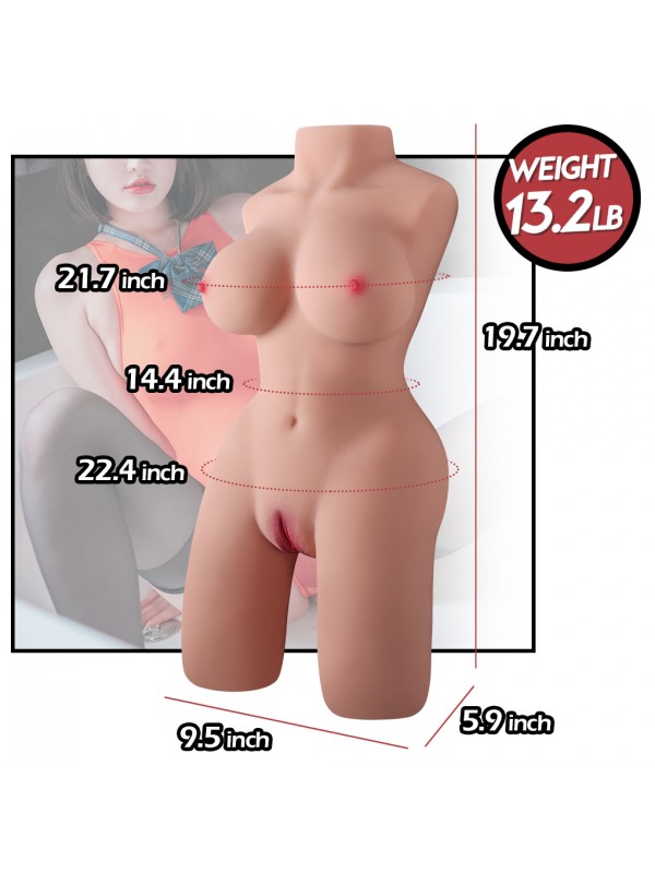 6000 GR TORSO&hellip;