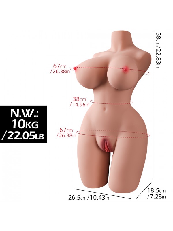 10000 GR TORSO… 10000 GR TORSO…